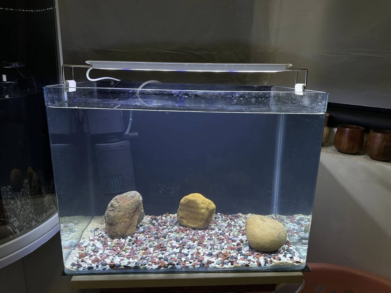 بە كاملی نرخی بۆتە  ٥٥ هەزار .. داشكانی بۆ كراوە
حەوزی شەریكەی پێش قەوس دیزاین كراوە
لیدێكی ستاندنی گیایی زۆر تایبەتی لەگەڵە
فلتەری ناو حەوزی لەگەڵەو هەمیش ئۆكسجینە
 بنی حەوزەكە بە بەردی ورد ڕازاوەتەوە
٣ بەردی گەورەی  لەگەڵە وەك دیزاین
پشتی باگراوندی ڕەشی لێدراوە
قیاسی درێژی ٥٠ سم بەرزی ٣٦ سم پانی ٣٠ سم
___________________
ئەوەی ویستی نامە بنێرێت لە واتس ئەپ یا ڤایبەر 
***********
گەیاندنمان تەنھا بۆ ناو سلێمانی ھەیە
