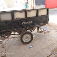 ستوته • اصولي • سنوية