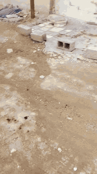 عندي بيت بغداد مدينه الصدر شركت رمضان بيت نضيف وقريب عله شارع وسوك كياره تجاوز مشمول  بتطويب خدمات كامله مجاري ومي وكهرباء ونت مدارس مقبيل بيزخانه 68 رقم صاحب ابو البيت احمد ***********
