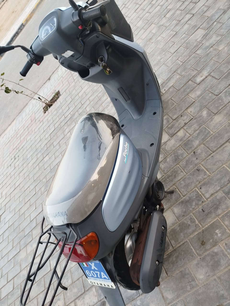 سلام عليكم دراجه منغولي نضيفه بمعنه كلمه دراجه برغي مامفتوحه بيه بعدهه ع وضعه سعرهه 950 وبيه مجال استفسار ***********
