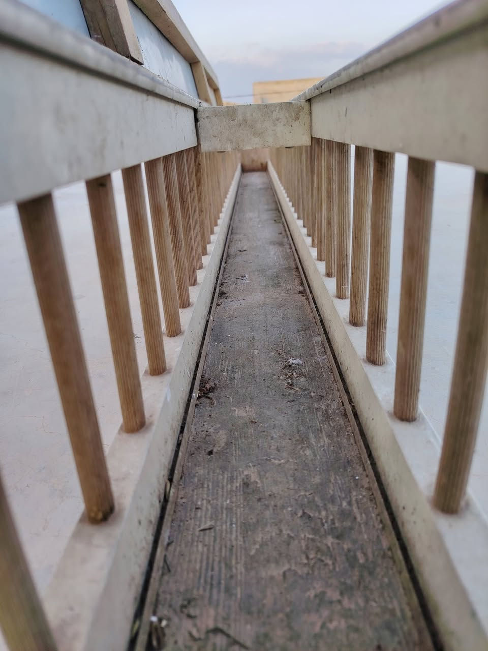 معلف حمام يرهم دجاج
طول مترين وعشرين سم
تفصال بلجيكي
سعر ٢٥
***********
