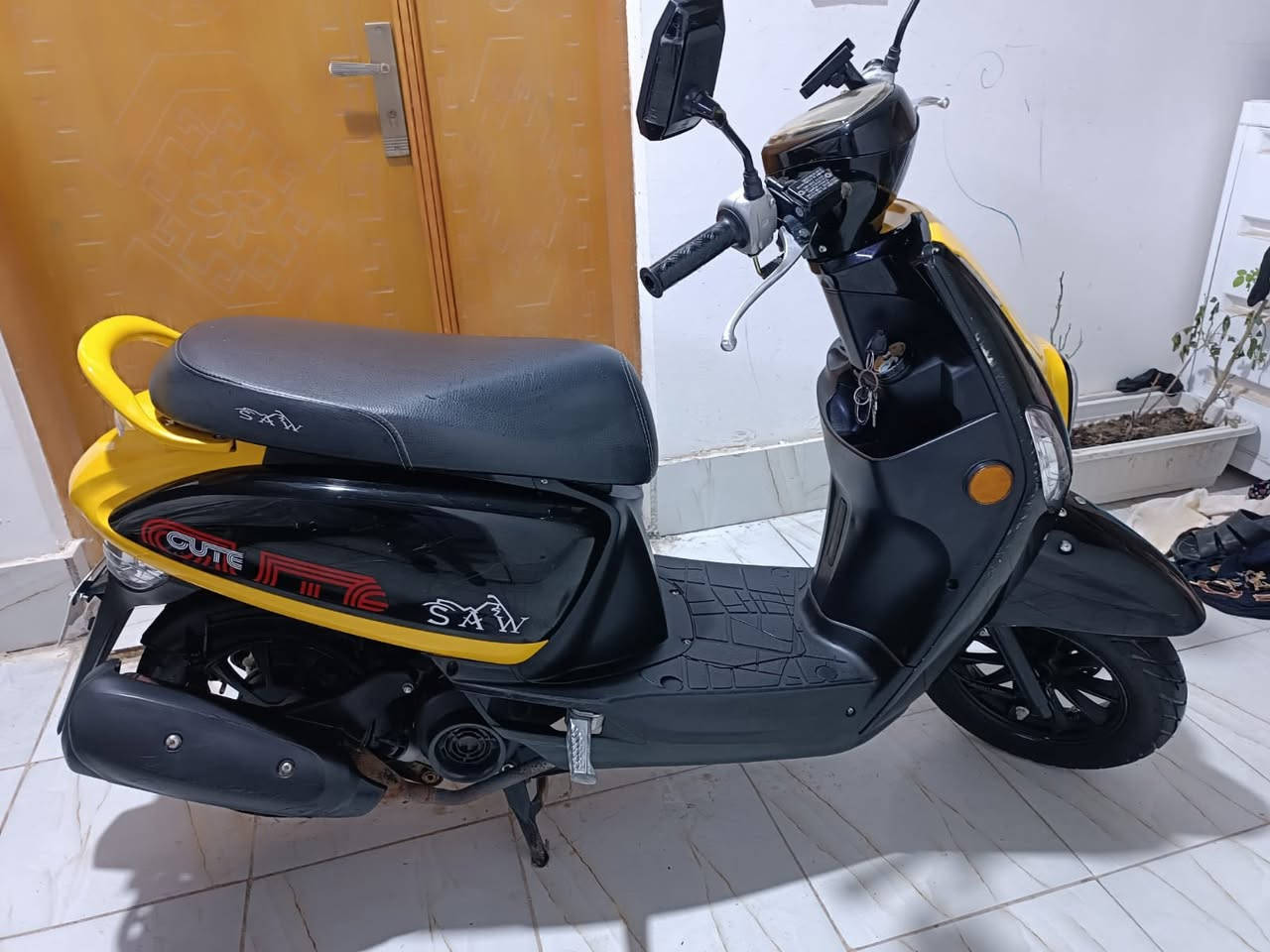 يالله السلام عليكم من رخصت لأدمن دراجه بوليس نضافه فول ما محطوط عليه صبانه الدراجه بلاد ومكفوله من كلشي وكاله الدراجه سعرها (مليون 1000000) وبيه مجال للشرايه وبخدمته رقم صاحب الدراجه ***********
