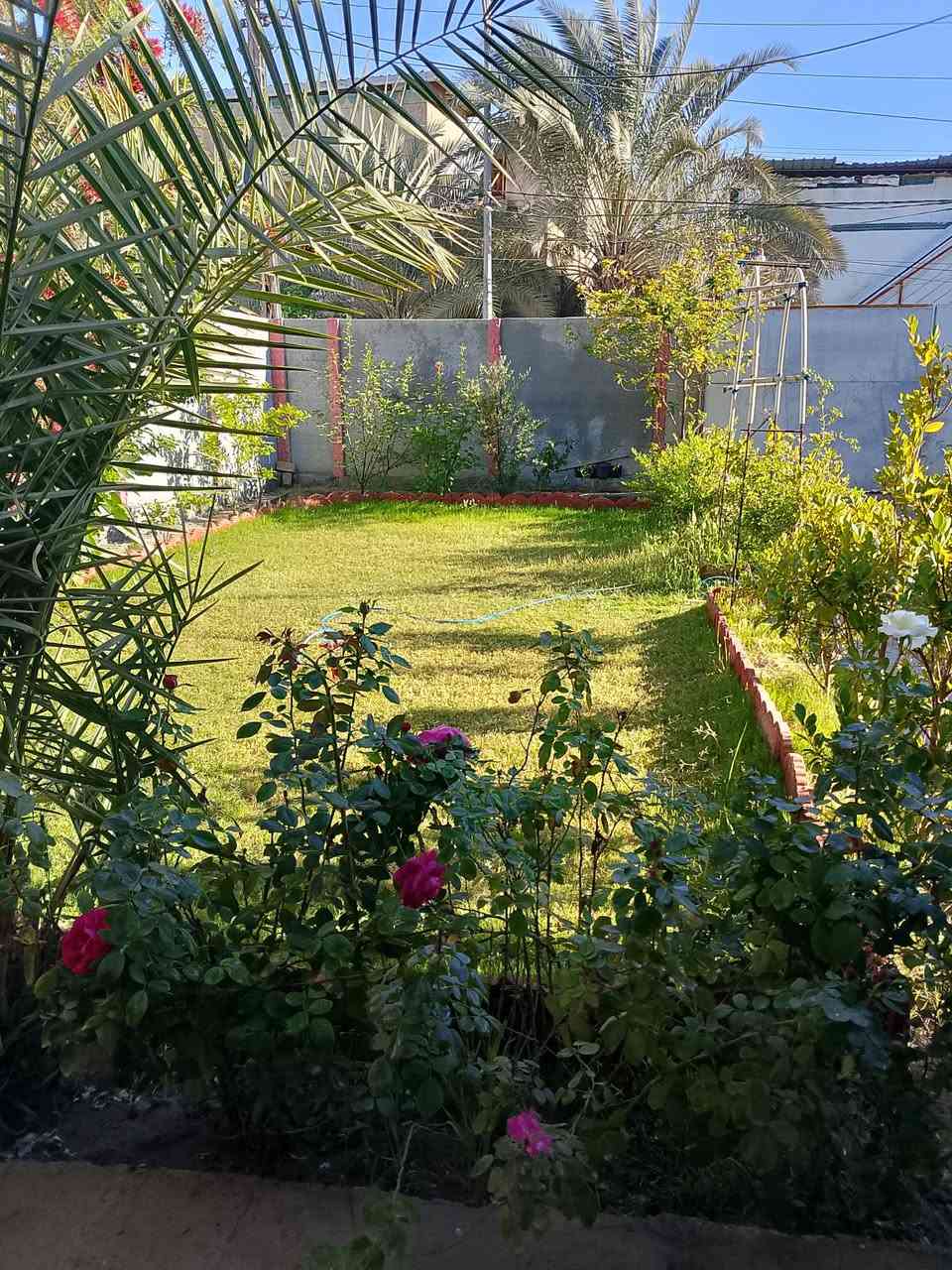 بيت للبيع المساحه 300 الموقع ممتاز جدا كافه الخدمات في حي الزهراء قرب الخدمي يتكون من غرفتين نوم صاله هول مطبخ مناور ثنين كراج يتسع ثلاث سيارات حديقه الاستفسار على الرقم *********** بي واتساب
