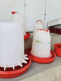 مشاريب دواجن • مغذيات دواجن • شارع العام