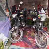 جاوة • جدد • اوراق كامله