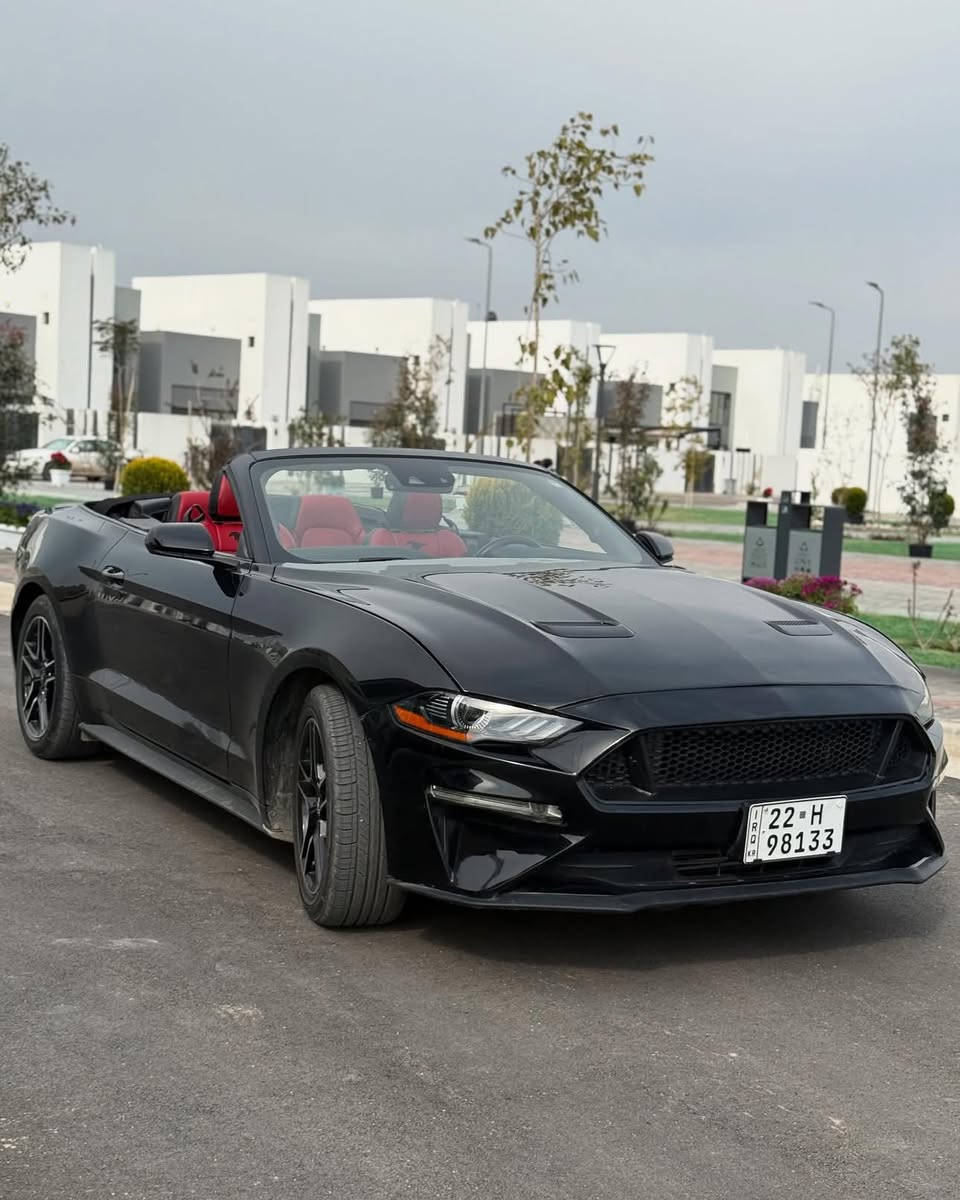 موستنك ٢٠٢٢
ايكو بوست 

بريميوم

٨٨،٠٠٠ كيلو ماشي

دشبول سبع الوان

كشن حار و بارد

شاشه كبير

شغال

بصمه

رادار امامي و جانبي

حساسات و كامره خلفي

ضرر: موضح بالسونار وزاد عليه باب السايق

ايرباك فقط ستيرن و راجع سستم

اكسل كهربائيات مكينه كير كله بشرط

سعر :١٦٥ بيها مجال 

بغداد حي الجامعه  

***********
