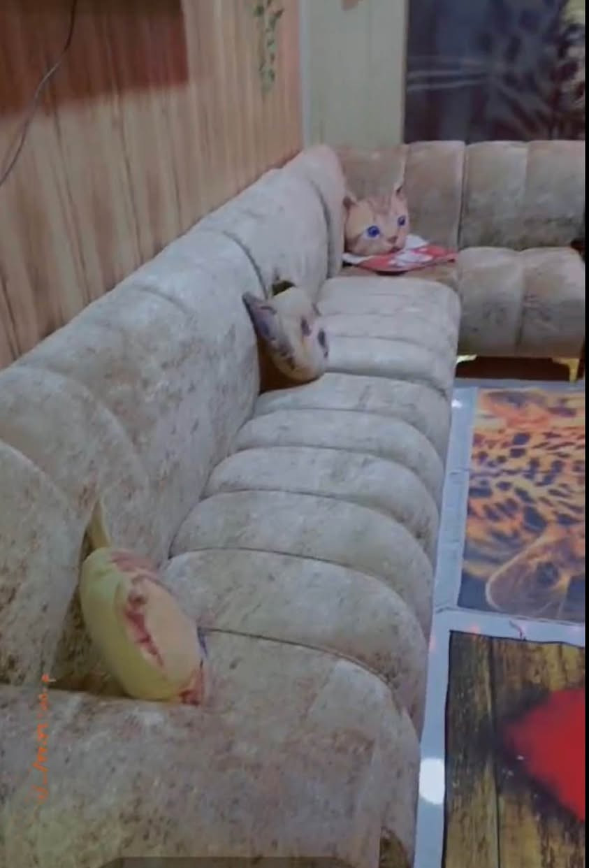 السلام عليكم تخم 10 مقاعد سعره 400 وبي مجال مكانه البياع بغداد, العراق


**إذا كنت صاحب هذا الإعلان وتريد حذفه لأي سبب، رجاءا أرسل رسالة إلى الدعم الفني**