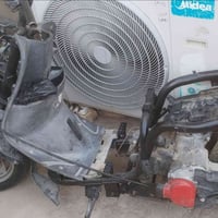 ماكس منغولي • شغالة • صبغت الشاصي