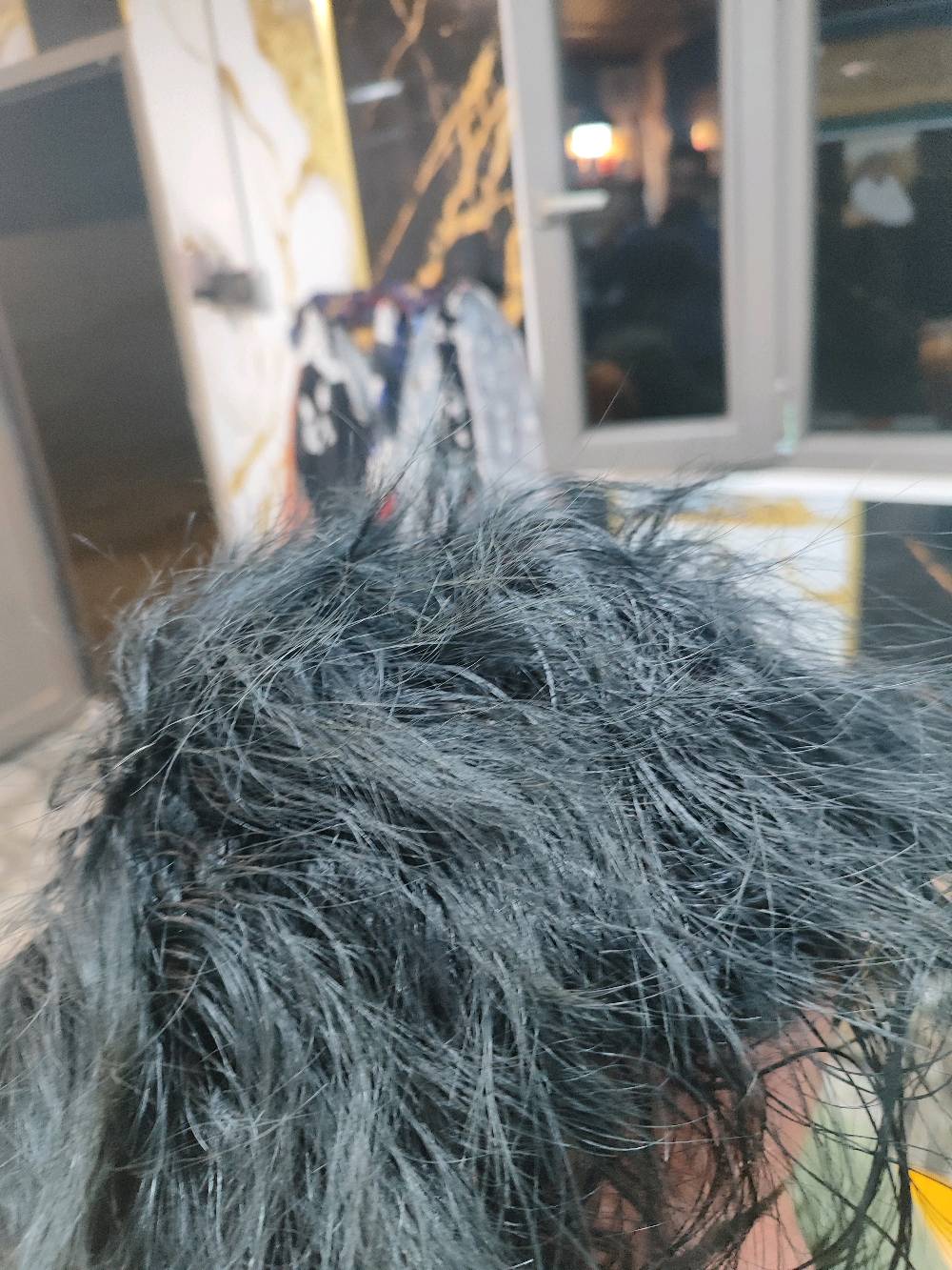 شغلي برايم مسرح شعر انطي بي ضمان حت اذا تريد اجيك للبيت ونتفق برايم مسرح شعر 