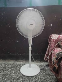 بنكة • جديدة • دورة