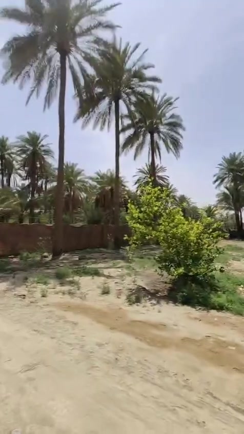 قطع ارظى مساحة 1000متر ركن اللبيع في كربلاء قرب القنطرة البيضه  بداية شارع الحافظ منطقة اليوسفيه قرب مشتل العتبه  طابو زراعي قرار محكمة سند 25 خدمات كامله مثل ماواظح بالتصوير الاستفسار اتصل واتساب  *********** *********** ***********
