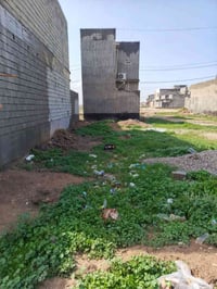 احمد العباس • طابو ملك • ١٢٥م