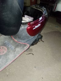 منغولي • معدلة • كربلاء بوبيات