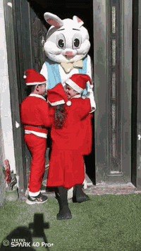 ارنوب روضة وحضانة القمه النموذجية الاهليه 
يحتفل مع براعمنا الصغار بمناسبه راس السنه الميلاديه 
كل عام وانتم بالف خير 
العنوان الشعب التجار الشارع المقابل اعداديه بلقيس للبنات اول فرع على اليسار 
***********
