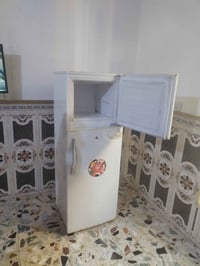 ١٣ قدم • كوري • المدائن بابل