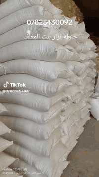 على بركة الله.. 
الى الفلاحين والمكاتب  الزراعيه. 
تتوفر بذور حنطه   نوع #نزاربنت المغلف  
✓ #نظافه 100٪
✓ #خاليه من اي شوائب
✓ #اسعار مناسبه جدا.. 
✓ #توصيل مجاني للكميات

      #الكميات_مفتوحه

*********** /محمد العيساوي ابو حيدر. 

*********** /واتساب 

العنوان
 بابل  الكفل  (شارع الشهابيه   طريق محطه الكفل) الحكوميه
