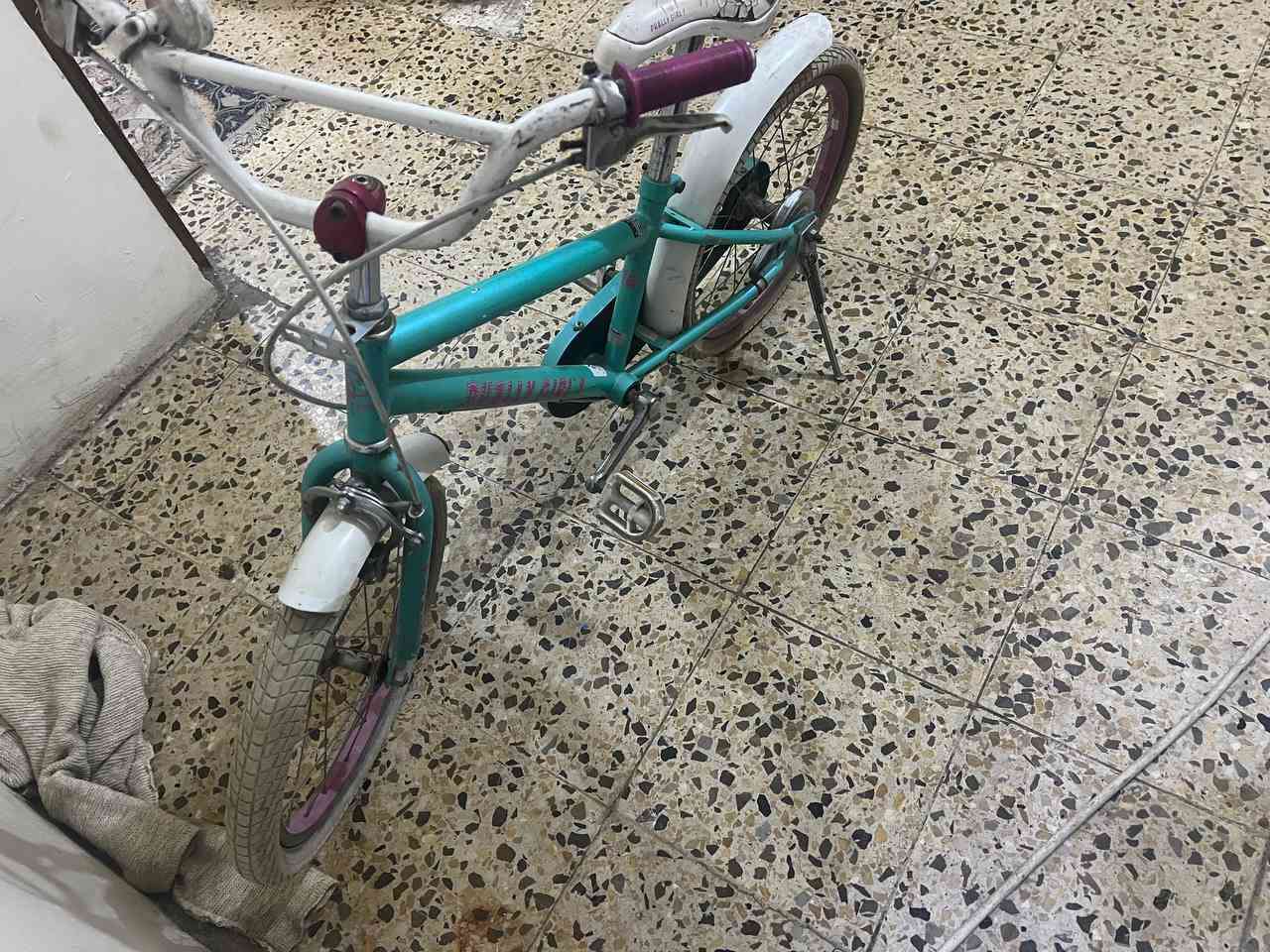 بايسكل بناتي ولادي باله أوربي
مكان الأمين الثانية
س ع ر ٥٥ وبي مجال شي بسيط
***********
