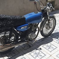 ارشه • بدون أوراق • جاهزة