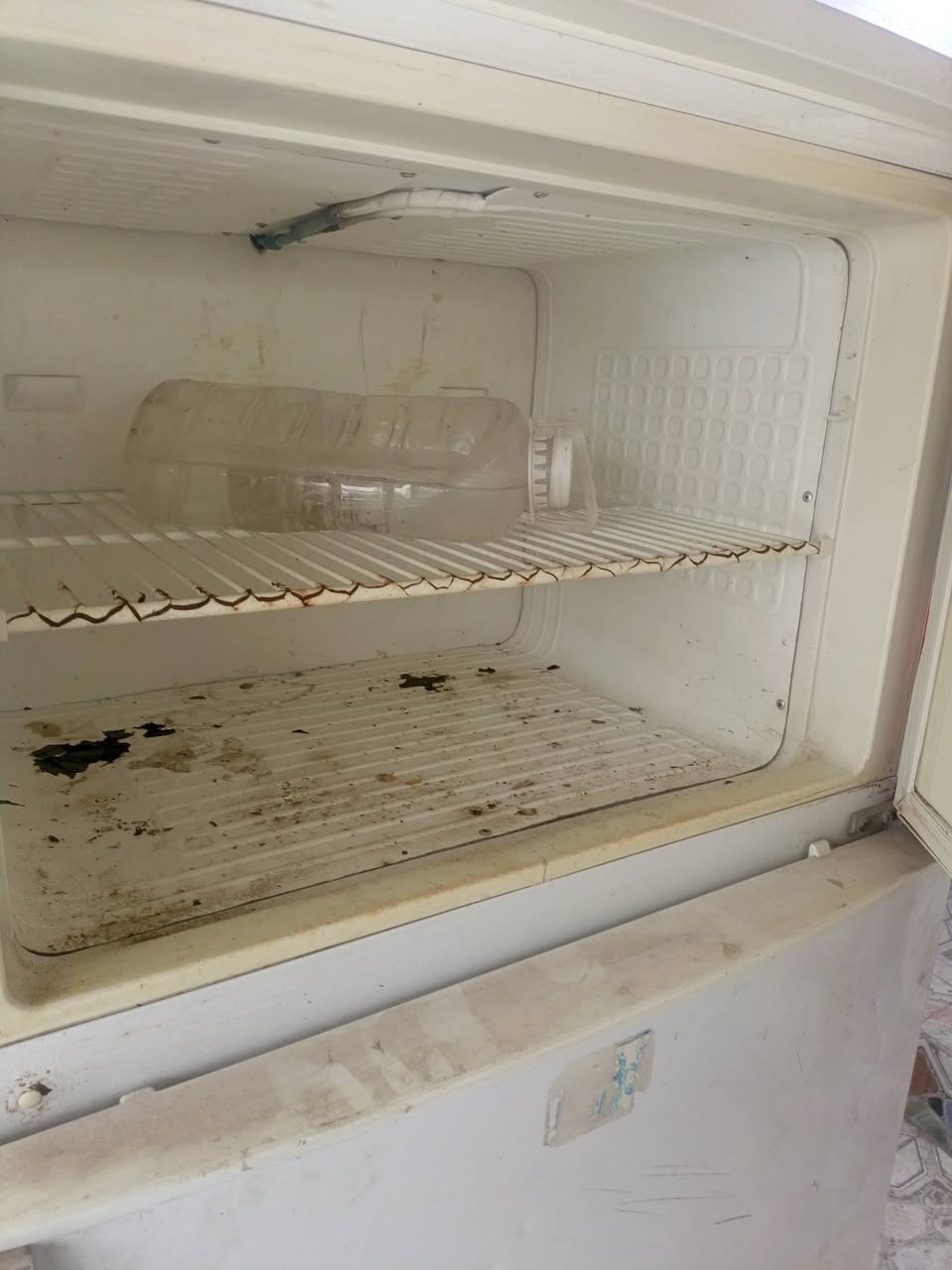 ثلاجه فستل تركي 18قدم فريز محوره تجميد فول ضمان سبوع اي شكال ترجع اذا ماجمد وسعرها مناسب ١٤٠ الف وبيها مجال


**إذا كنت صاحب هذا الإعلان وتريد حذفه لأي سبب، رجاءا أرسل رسالة إلى الدعم الفني**