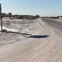 سوق الشيوخ فضليه • ٣ دونم • زراعي