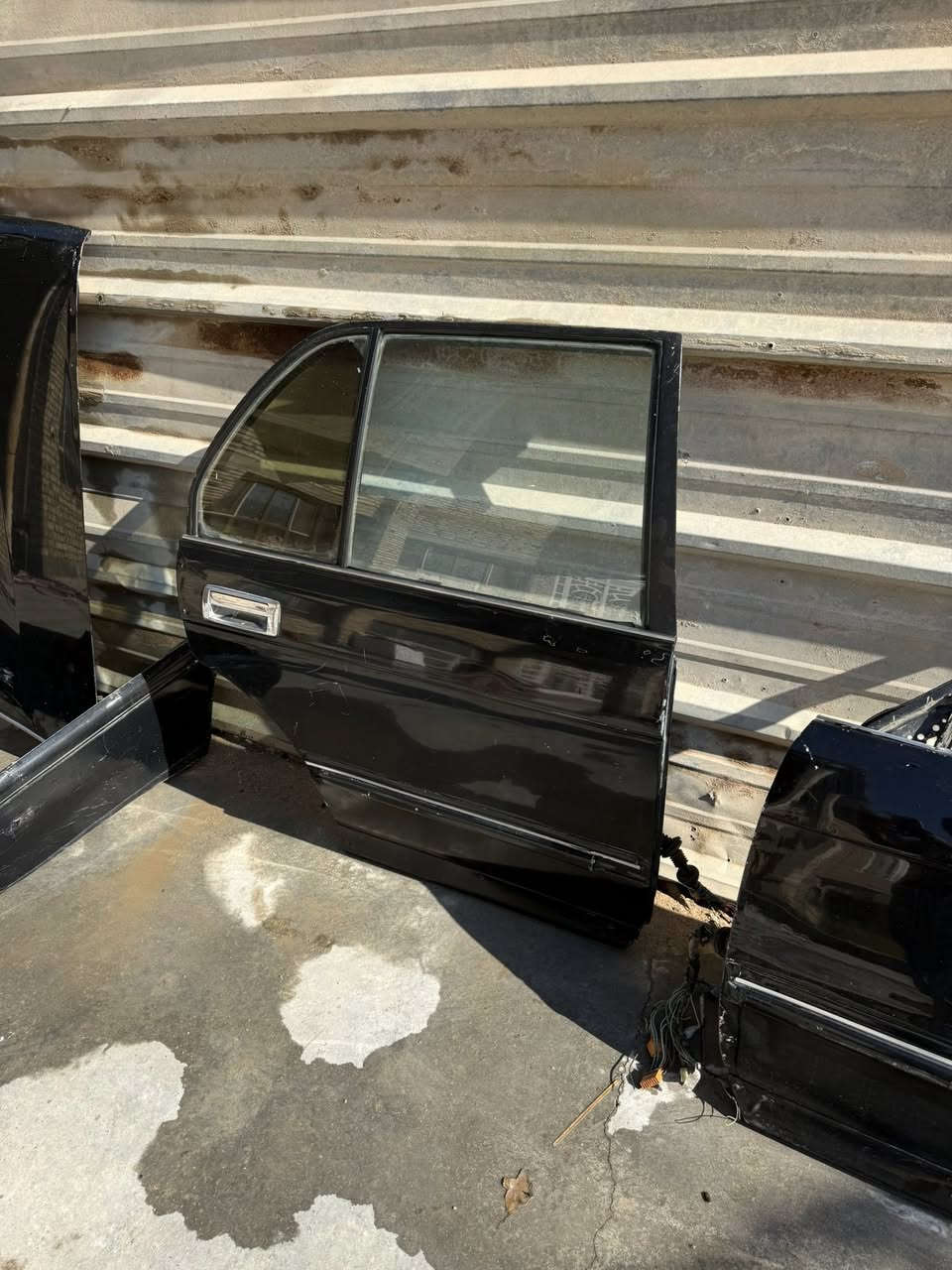 ‏بيبان أرنب ‏للبيع ￼￼￼250 ‏ سعر  ***********￼
