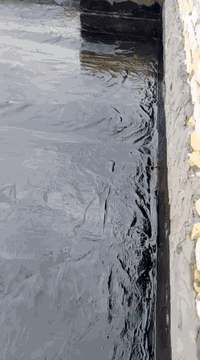 #فلوسك_عندك_لمن_يكمل_سطحك 💸
***********
تم إنجاز السطح حسب المواد المطلوبة:
🛠 زفت + فلانكوت + نايلون + اشتايكر السماوة
✂ كص كوسره
✅ شرط الفحص بالماء + استلام من قبل #مهندس_كرسته
🔧 صيانة الماستك والأسطح القديمة متوفرة

📍 متواجدين: الناصرية – أقضية ونواحي***********
