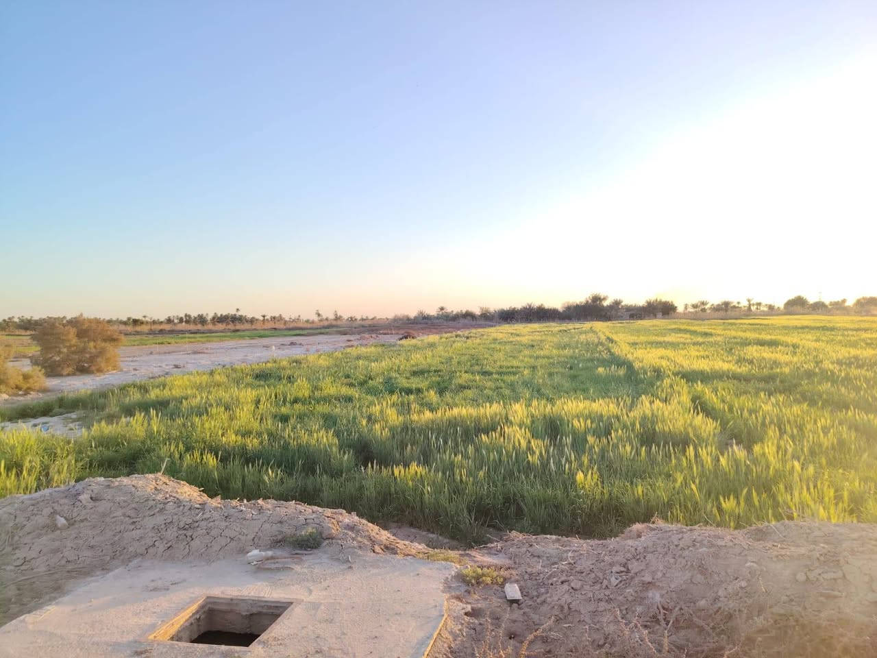 السلام عليكم 5دونمات ونص للبيع
حالين مزروعه شعير وجت طابو 117 
رقم الهاتف ***********
مكان الكاع طريق الحمزه السياحي مقابيل ال سند ال دخان
