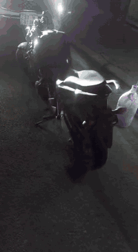 مراوس ببوكسر مرقمة بغداد مكاني غزالية
بطح cbr موديل 18 كير مكينه ممفتوح بدون أوراق

***********
