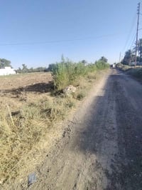 دونم للبيع سند 25 تحويل مباشر متوفر جميع الخدمات من ماء كهرباء خط ذهبي...