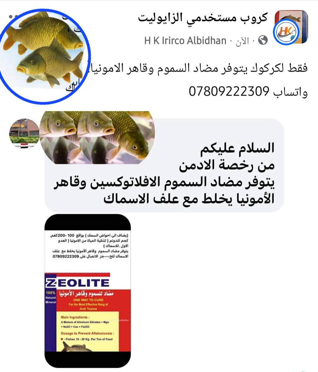 مع المكتب الاستشاري  لماعدة مربي الاسماك، واتساب ***********
تتوفر كافة العلاجات للاسماك ضد الفطريات والطفيليات والطحالب والبكتريا واتساب ***********
