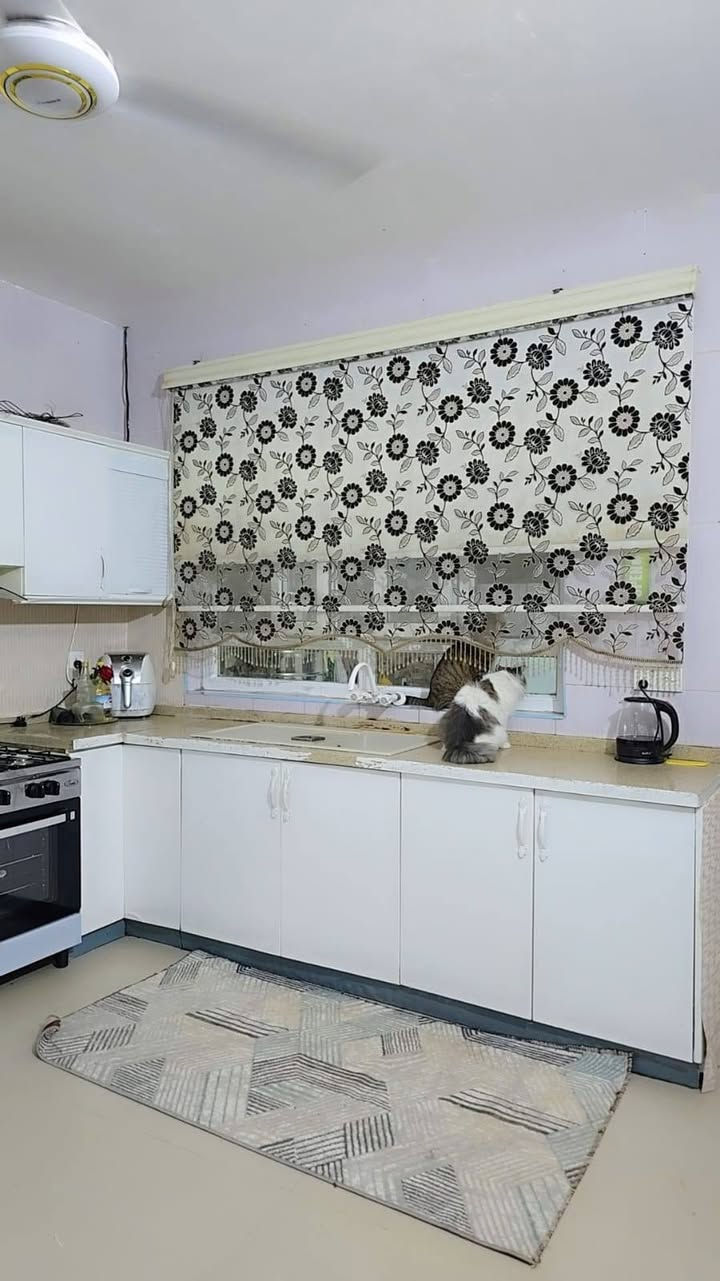 بيت لبيع 
مكان خانقين بارميل 
خلف بيت علي وندي
مشمول بل طابو مع كاونتر تركي 
البيت يحتوي على ٣غرف نوم مع مطبخ مع صالة مع استقبال مع صحيات مع  مخزن
للاستفسار 
‏‪***********‬‏ خناقين, ديالى
