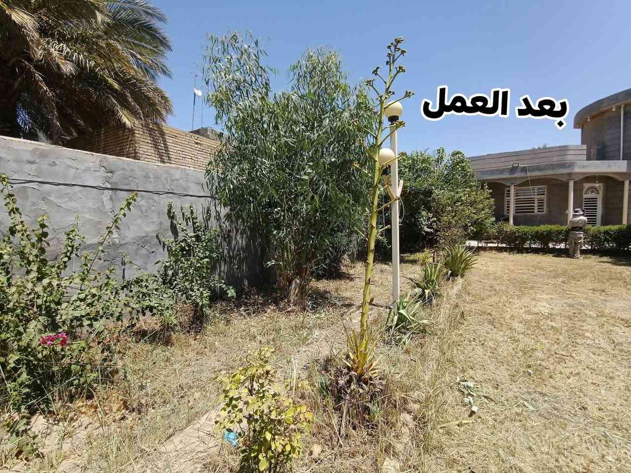 السلام عليكم
على بركة الله 
يتوفر عمال مختصون. جاهزون لأي عمل من لأعمال مثل. (تنضيف البيوت من لأنقاض+تنضيف التانكيات +عمل كافه الحدائق) وبأنسب الأسعار. للستفسار اكثر لأتصال على ***********
