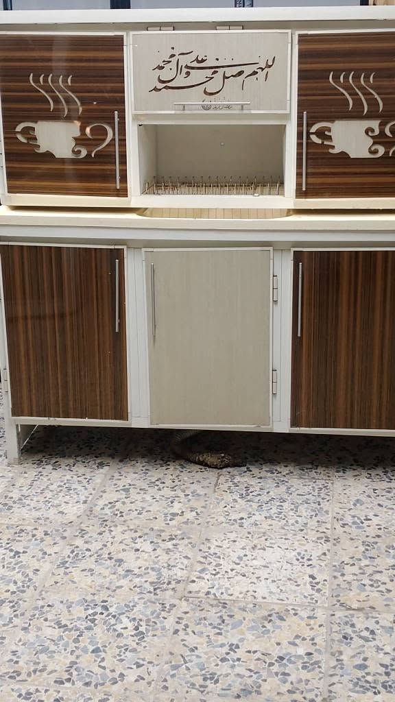 مستعمل اخو الجديد مبطن البيبان مرمر  البيع مكاني الكوفه شارع المطار 
السعر 225 اللف 
وساب *********** النجف, العراق
