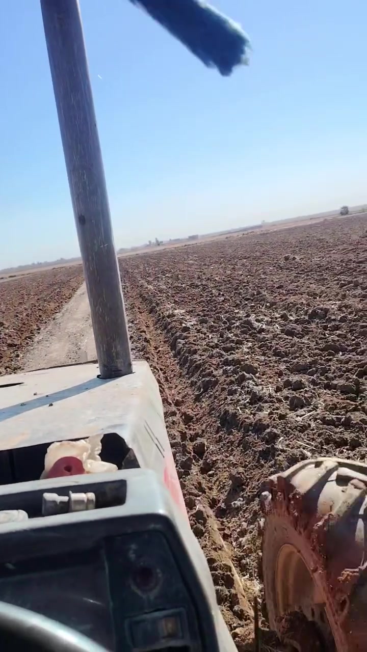 موجود فدان معمل سلوم للبيع او مراوس فدان تركي الحجم 14 2021 ***********
