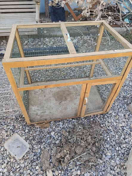 السلام عليكم اقفاص الطيور للبيع
العدد 3 الكبير ب60 ألف والوسط ب30 والصغير ب20 العنوان بعقوبة قرب تقاطع القدس 
***********
