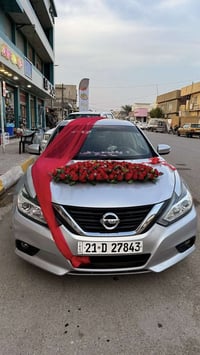 ورد طبيعي • تزيين سيارات • المقدادية ديالى