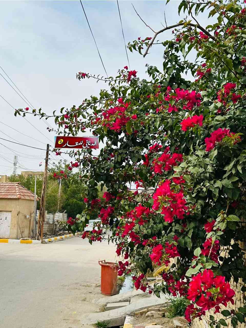 دار سكن طابو صرف 

 منطقة العباسية قرب البيطرية او قرب الحديقة    المتنزه📍

الطابق الاول
غرفة  نوم 🛌 
صالة 
 استقبال هول  مطبخ حمام 🛁 
طارمة 
الطابق الثاني يتكون من 
3غرف نوم 🛌 مع صالة مع مطبخ  

المساحة 250 

السعر علق تم 🤝 او راسلنا
تابع الصفحة ✅

موقعنا 📍
تقاطع جليل فضيل مقابل صيدلية 

***********
