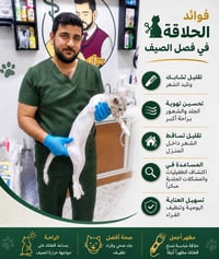 حلاقة قطط • تعقيم • بابل الهاشمية