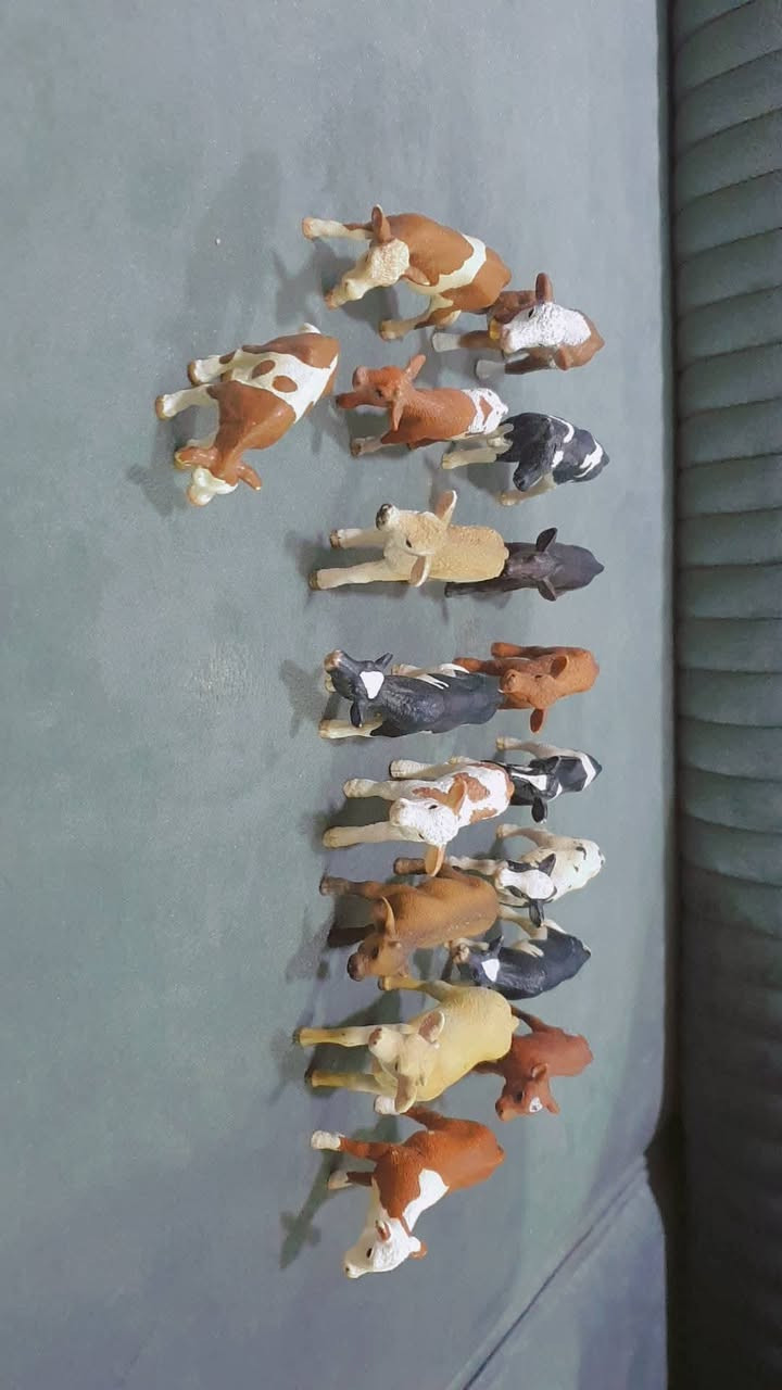 للبيع سعر خاص


**إذا كنت صاحب هذا الإعلان وتريد حذفه لأي سبب، رجاءا أرسل رسالة إلى الدعم الفني**