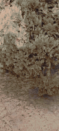 دار للإيجار حي العسكري ١٠٠ متر طابقين قرب جامع خديجة الطابق الأرضي ب٢٢٥ الف والطابق الثاني ب١٧٥ الف درج خارجي للتواصل ***********
