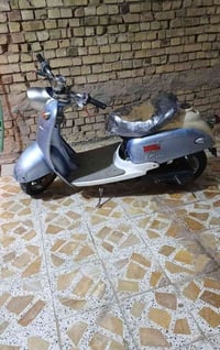 فينو • بطة • للبيع