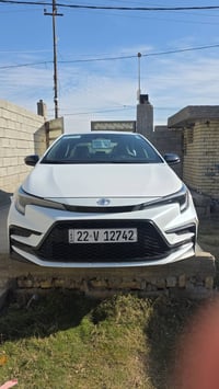 كورلا • ٢٠٢٤ • رقم اربيل