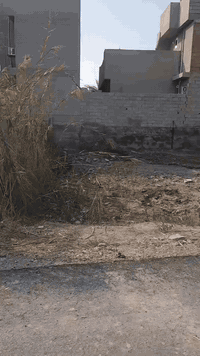 بعقوبة بهرز • ١٣٢م • طابو زراعي