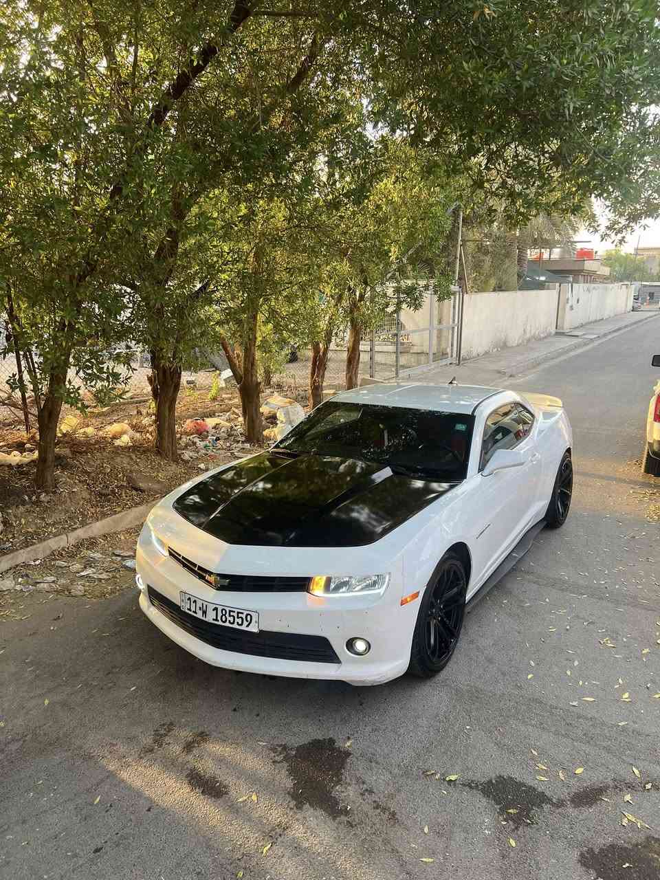 كمارو ٢٠١٤  للبيع
حادث مالته جاملغ امامي يمين وبيها صبغ ٣ قطع 

رقم بغداد الجديد

سنويه لحد ٢٠٢٩

مكينه جديده قبل يومين شديتها 

نوزلات جدد 

صدر امامي جديد

تايرات بحاله ممتازه 

سعر ١٠٥ بيها مجال من تيجي وتشوف سياره

مكاني اليرموك الداخليه

***********
