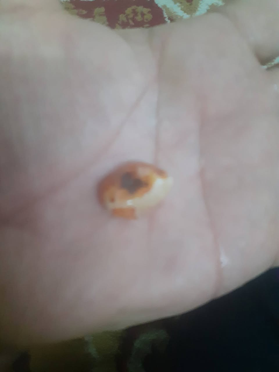 حجر سليماني


**إذا كنت صاحب هذا الإعلان وتريد حذفه لأي سبب، رجاءا أرسل رسالة إلى الدعم الفني**