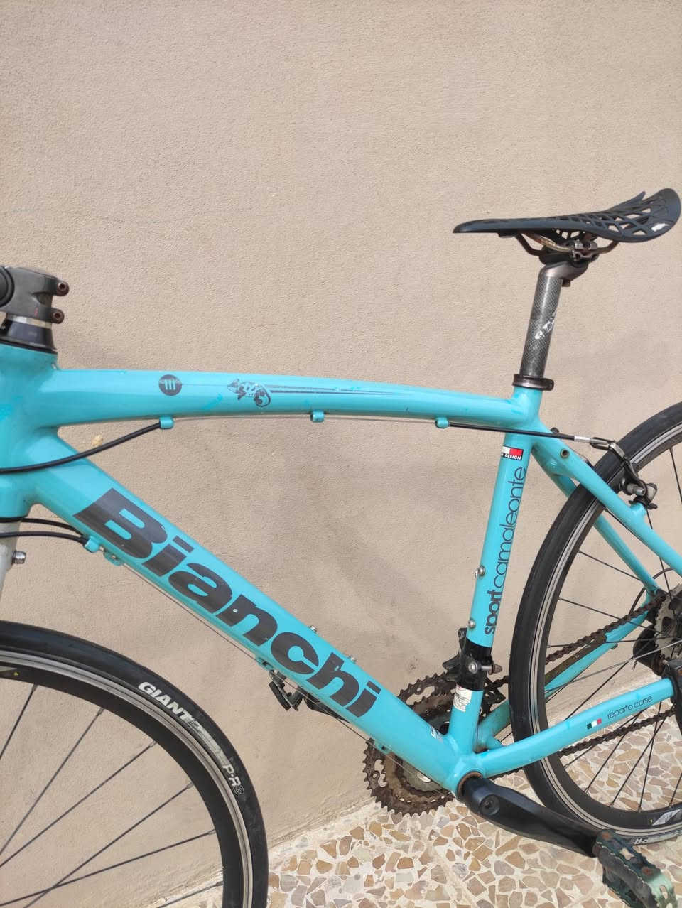 رمضان مُبارك على الجميع🌜
السلام عليكم

دراجه ماركة #BIANCHI بيانكا العالميه ماركه غنيه عن التعريف 

صنع ايطالي اصلي🇮🇹 ...حجم28 (C700) قياس M ميديم 

فوول المنيوم خفيف جدا وسلس تصميم حديث لشه مضلع 

لون مميز جداً فيروزي مطعم ب أسود لامع ميتاليك 🖤 🩵

سستم شيمانو كامل سيت أليڤيو #SHIMANO_ALIVIO

بدالات السرعه 8X3 سحب دفع ...ستيرن رياضي نفخ المنيوم

بريكات  شيمانو اصلي حتى الفحمات مختومه #SHIMANO

وياله  بولبرين طبقتين اصليه ماركة #MRX_JACCO  زوم 

تايرات كتان اصليه ماركة #GIANT نقشه ناعمه فول سلاسه 

سرج فايبر  ..كمبليونات وياله سلايت ..ستاند سلايت مختوم

الدراجه كلش حلوة وبلحقيقه احلى من الصور بهوايا بلأخص اللون

🔴الدراجه قطعه مال حاويه غير مستخدمه داخل العراق 
      الدراجةختم واحد ليبل واحد ما بيها اي نقص كامله وجاهزه 

المكان موصل الجانب الايسر ....السعر 250 الف (ثابت_نهايتة)

يوجد توصيل بغداد وجميع المحافضات العراقية

رقمي *********** للتواصل
