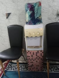 براد • شغال • الحريه