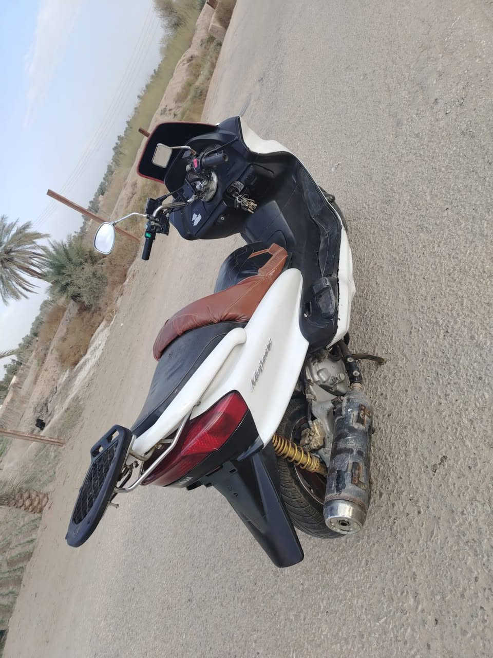 تفصيخ شتريد موجود يوجد توصيل لجميع المحافظات خاص مفتوح


**إذا كنت صاحب هذا الإعلان وتريد حذفه لأي سبب، رجاءا أرسل رسالة إلى الدعم الفني**