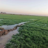 مطار الصويره • قرية الفداء • ١٢دونم