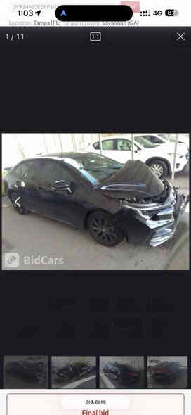 كورلا 2023وارد امريكي يابانيه
مواصفات se المعروفه بيه حالوب بالقماره
ضربته جاملغ وبنيد مبدلات نفس الون 
اي نقص مابيه ماشيه ٣٥ الف ميل
رقمي ***********

السعر 135 وبيه مجال بسيط
